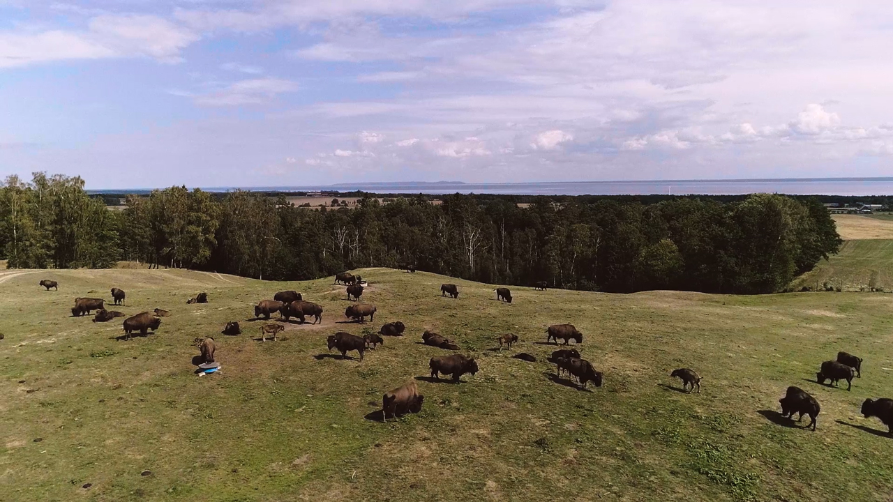 Semester i Västergötland