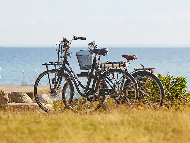 Cyklar på Öland