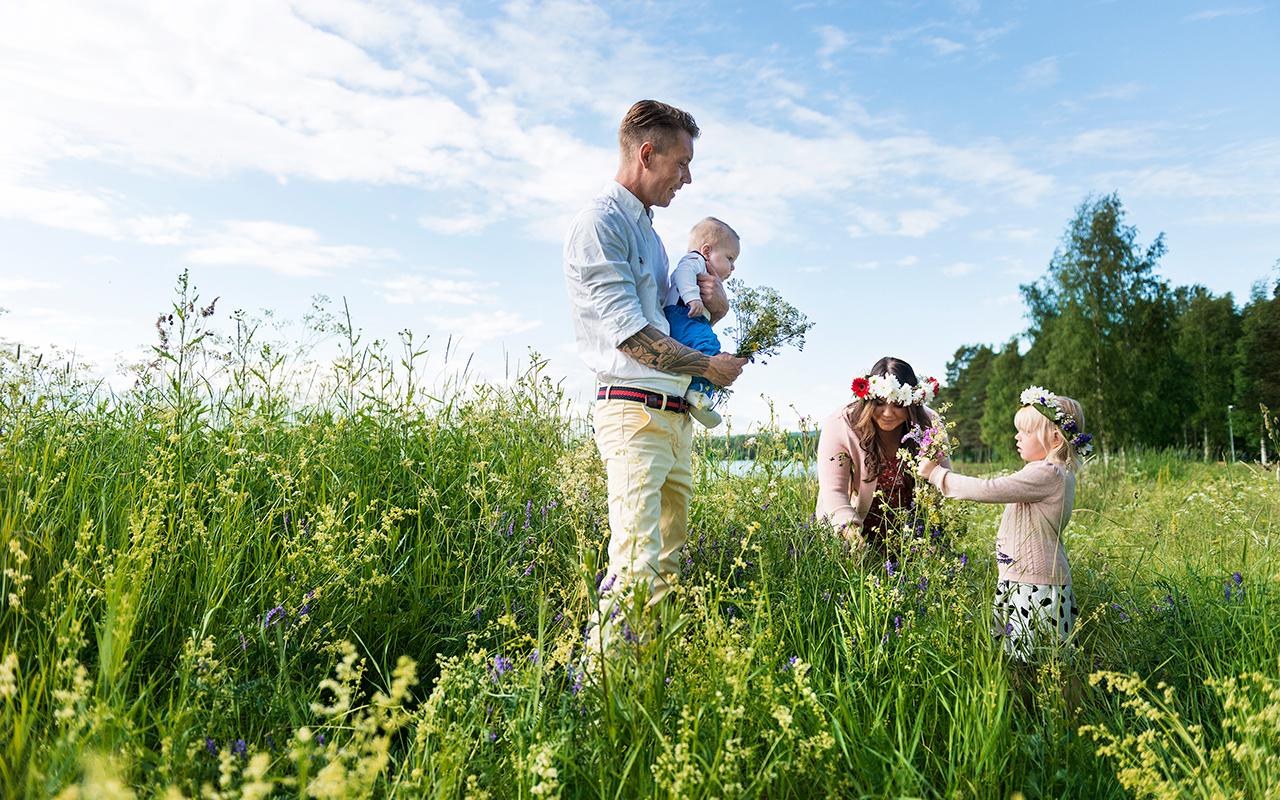 Midsommar, Orsa, blommor, plocka blommor, blomsterkrans