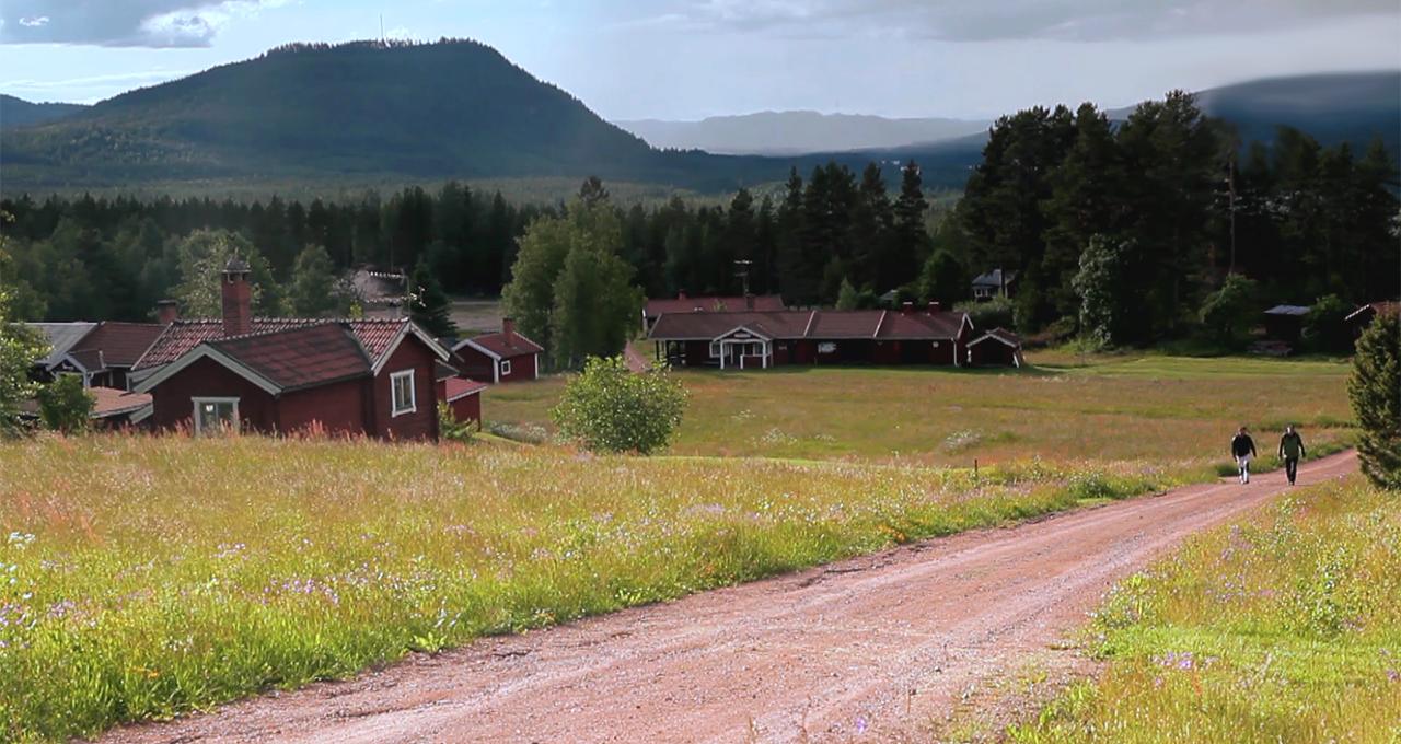 Vandra längs Vasaloppet