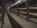 Bunkbeds in Auschwitz