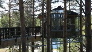 trädkoja Granö Beckasin