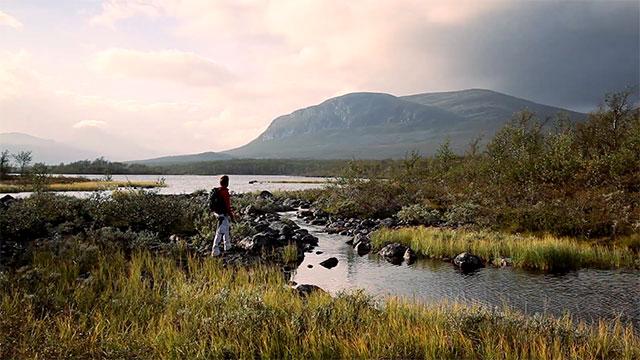 Treriksröset cover image