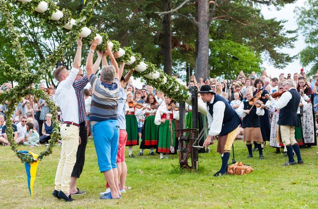 Resning av midsommarstången